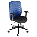 Vision Ergonomic Chair with Arms