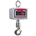 Ohaus Painted Cast Aluminum Economy Crane Scale, 1000kg x 0.5kg