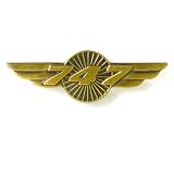 747 Wings Pin