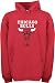 Chicago Bulls adidas Full Primary Logo Hooded Sweatshirt - Medium