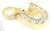 Designer Look 3D Reversible Lucky Horseshoe Crystal Charm