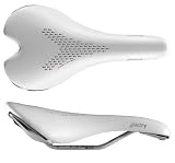 fizi:k: ALIANTE GAMMA (White)の画像