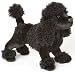 Plush Pierrer Black Poodle 16