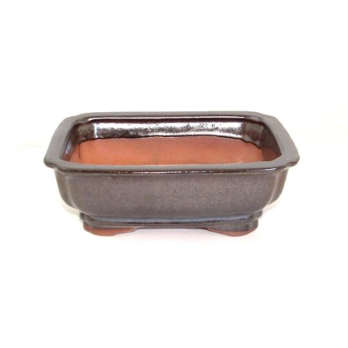 18cm Dark Brown Glazed Bonsai Pot
