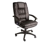 Executive Chair with 5Motor Massage