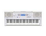Casio CTK810 Keyboard