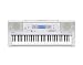 Musical Instruments : Casio CTK810 Keyboard