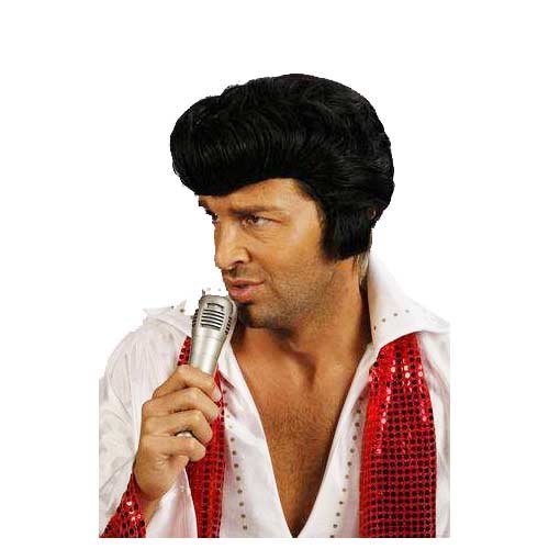 Adults Black Rock Star Wig