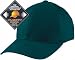 Original Flexfit Cap, spruce (Größe Youth), Schirmunterseite silbergrau