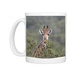 Cape giraffe (Giraffa camelopardalis giraffa), Hluhluwe Game Reserve, South Photo Mugs
