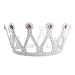 Royal Silver Queen Crown with Purple Jewels ~ Halloween Queen Costume Accessories (STC12035-PL)
