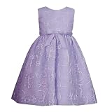 Rare Editions Girls 2T4T LILACPURPLE SOUTACHE EMBROIDERED ORGANZA OVERLAY Special Occasion Wedding Flower Girl Party Dress4TRRE29140EE229140