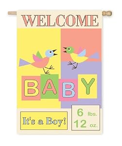 Welcome Baby Regular Size Applique Flag