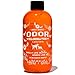 Angry Orange Pet Odor Eliminator | Dog and Cat Odor Remover | Makes 1 Gallon of Urine Remover Spray | Offsets Pet Stains for Cleaner Floors & Carpets | 8 Oz. Bottle of Stain Odor Eraser Concentrate