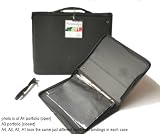 A2 Presentation Case