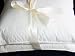 Super soft set of two EURO Pillow Form Cushion,100% polyester fiberfill,26x26