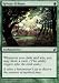MTG Magic the Gathering Sylvan Echoes Collectible Trading Card Playset Image