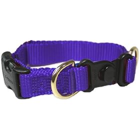 Premier Breakaway, Med. 3 4, Color: Purple by Premier