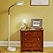Verilux Original Natural Spectrum Floor Lamp with Adjustable EasyFlex Gooseneck, Ivory