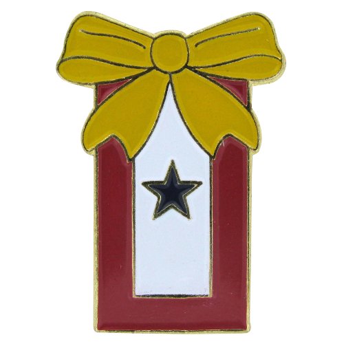 US Flag Store Service Ribbon Pin