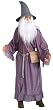 Adult Grey Gandalf Costume