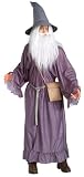 Adult Grey Gandalf Costume