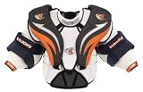 Chest Protector Different Type 41LMB4porVL. SL160 Chest Protector Different Type