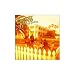 Dickey Betts And Great Southern-Dickey Betts & Great Southern