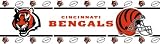 Sports Coverage Cincinnati Bengals Team Wall Border