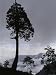 Cloud Covered Mountains in Yushan National Park Photographic Poster Print by Jodi Cob...
