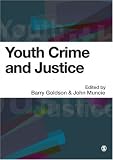 Youth Crime and Justice