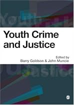 Youth Crime and Justice