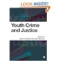 Youth Crime and Justice