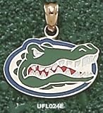Univ Of Florida Gator Head 1/2 Enamel Enamel Pendant -14K/10K Gold or Stainless Steel