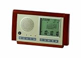ADESSO (アデッソ) 置き時計 リラクゼーションサウンド DT-206