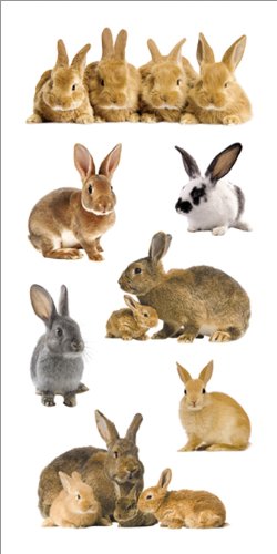 Paper House Productions ST-2221E