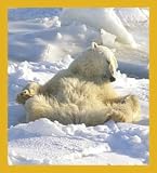 Kickin' Back (Polar Bear) Bookmark
