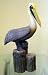 Pelican Beach Ocean Indoor Outdoor Garden Art Statue Figure
