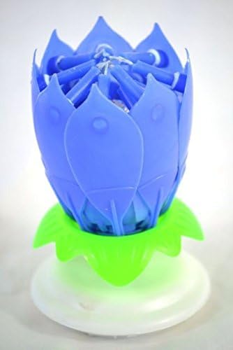 OOOUSE Amazing Birthday Candle Flower Special For Birthday Random Color, blue