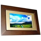 Buy Astar Electronics DPF-1170 7-Inch Digital Photo Frame by Astar