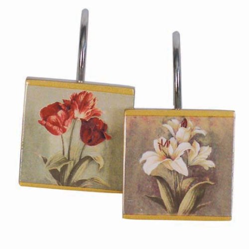Blonder Home Accents Expressions Shower Hooks