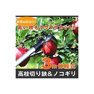 3m伸縮式高枝切り鋏＆ノコギリ