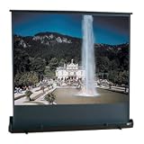 Draper Road Warrior Portable Projection Screen - 36
