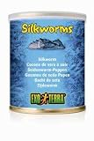 Exo-Terra Medium Silkworms, 2.4 oz.