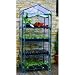 4 Tier Mini Green House