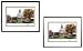 Baylor Bears Framed Campus Photo Silver