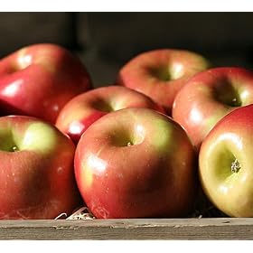 Fuji Apples