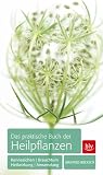 Das praktische Buch der Heilpflanzen: Kennzeichen, Heilwirkung, Anwendung, Brauchtum - Manfred Bocksch