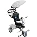 Smart Trike Zoo 3 in 1 (Cow)
