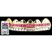 Grillz - Gold Bridge W/Pink And Clear Jewels